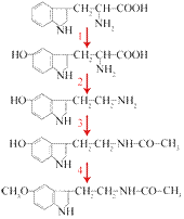 Individual pathways of amino acid metabolism - student2.ru