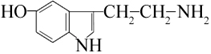 Individual pathways of amino acid metabolism - student2.ru