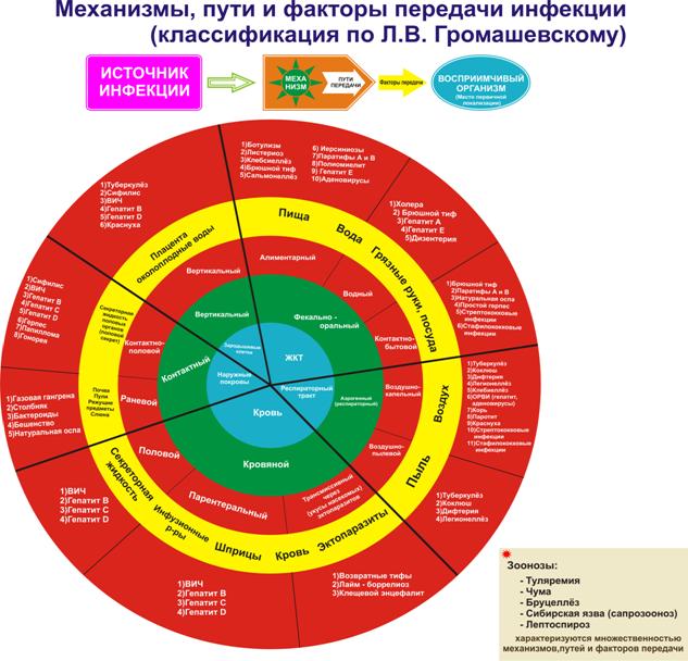 Инфекция и инфекционный процесс - student2.ru