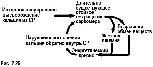 Интегрированная гипотеза о триггерной точке - student2.ru