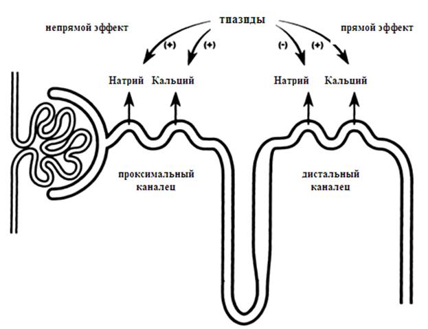 Использование медикаментозных препаратов при мочекаменной болезни - student2.ru