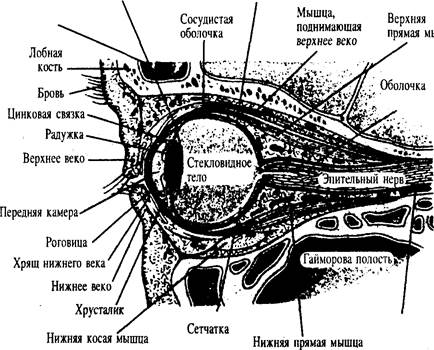 История одного из моих слушателей - student2.ru