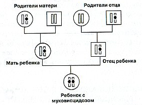 К человеку присосался таежный клещ, ранее не пивший крови больных людей или животных. Как объяснить возможность заражения человека энцефалитом? - student2.ru