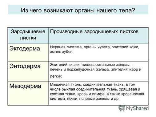 К таламической области относят таламус, метаталамус и 6 страница - student2.ru