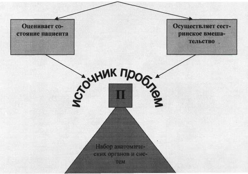 Семья Обучение Личность Здоровый - student2.ru