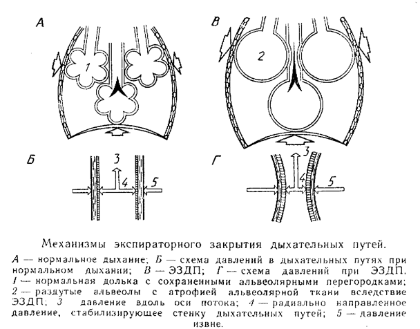 эндокринных артериальных гипотензий - student2.ru
