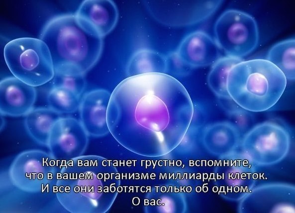 i. Юмор – необходимый парадокс - student2.ru