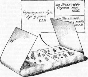 как собирать насекомых и других животных - student2.ru