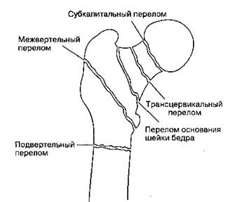 Какие артерии осуществляют кровоснабжение носа? - student2.ru