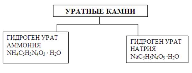 камни при нарушении пуринового обмена - student2.ru