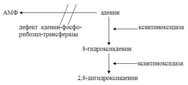 камни при нарушении пуринового обмена - student2.ru