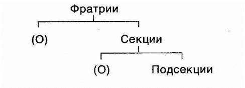 глава ii. австралийский номинализм - student2.ru