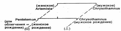 ГЛАВА II. Логика тотемических классификаций - student2.ru