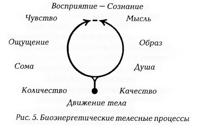 истина, красота и грация - student2.ru