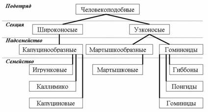 Контроль исходного уровня знаний (тестирование) - student2.ru