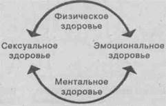 Опыт 5. Дыхание животом - student2.ru