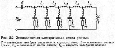 основные свойства слуха - student2.ru