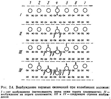 основные свойства слуха - student2.ru