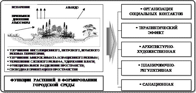 Факторы, определяющие формирование цветочных композиций - student2.ru