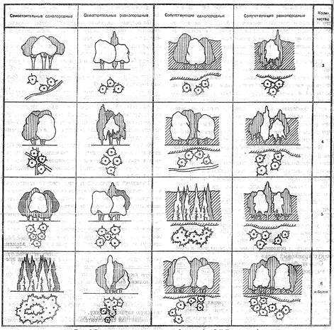 Композиции древесно-кустарниковых насаждений - student2.ru