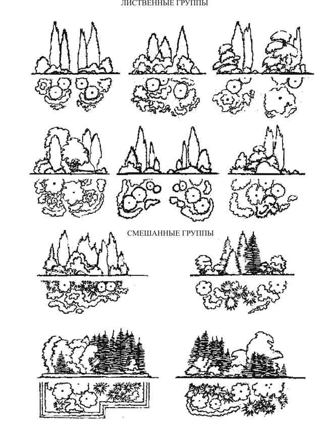 Тема №3. Построение древесно-кустарниковой группы (развитие объемно-пространственного мышления). Построения графика декоративности пород - student2.ru