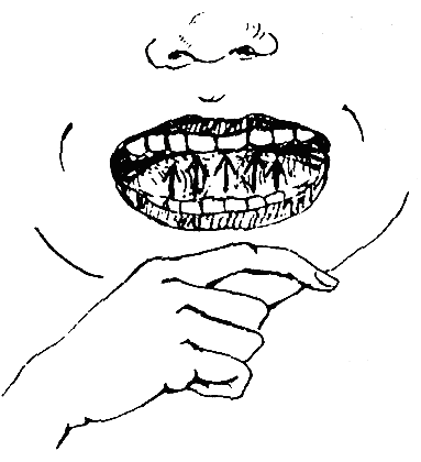 Движения языка сверху вниз по верхней губе - student2.ru