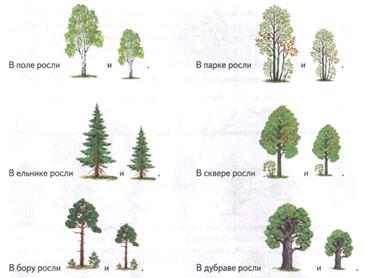 Лексическая тема: Деревья. - student2.ru