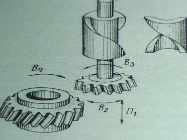 Обработка цилиндрических зубчатых колес червячными фрезами - student2.ru