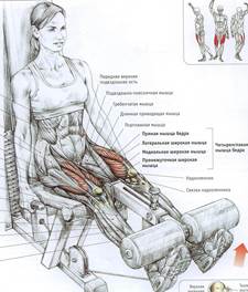 Сгибание ног в тренажёре - student2.ru