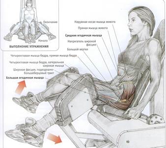 Сгибание ног в тренажёре - student2.ru
