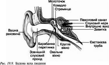 Виконайте практичні завдання. - student2.ru