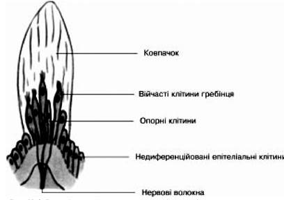 Виконайте практичні завдання. - student2.ru