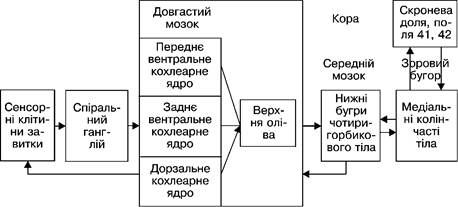 Виконайте практичні завдання. - student2.ru