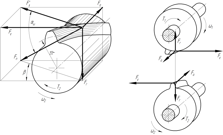 Силы, действующие в зацеплении передач - student2.ru