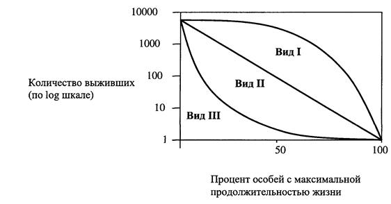 А. книжка; Б. двенадцатиперстная кишка; В. сетка; Г. пищевод; Д. рубец; Е. подвздошная кишка; Ж. тонкая кишка; З. сычуг; И. толстая кишка. - student2.ru