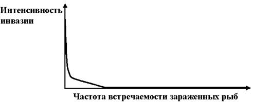 А. книжка; Б. двенадцатиперстная кишка; В. сетка; Г. пищевод; Д. рубец; Е. подвздошная кишка; Ж. тонкая кишка; З. сычуг; И. толстая кишка. - student2.ru