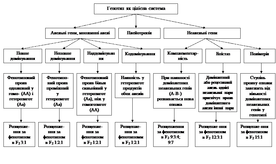 А) Методика проведення заняття - student2.ru