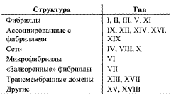 Адгезивные и антиадгезивные белки. Базальная мембрана. Протеогликаны базальных мембран. - student2.ru