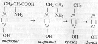 Амин қышқылдарының дезаминденуінің түрлі жолдары. Аминқышқылдардың тотығу дезаминденуі. - student2.ru