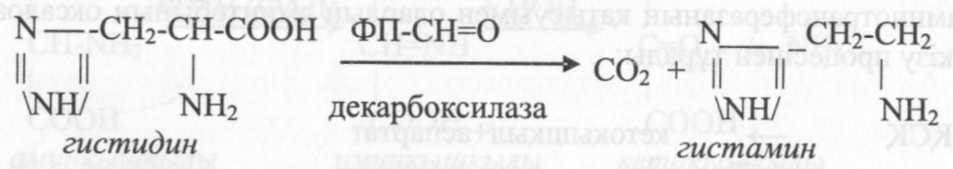 Аминңышңылдардың декарбоксильденуі. Биогенді аминдер. - student2.ru