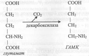 Аминңышңылдардың декарбоксильденуі. Биогенді аминдер. - student2.ru