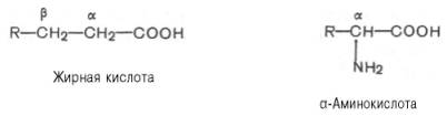 АМИНОКИСЛОТНЫЙ СОСТАВ БЕЛКОВ. Несмотря на то что первая аминокислота – глицин – была выделена А - student2.ru