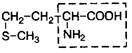 Аминокислотный состав белков. В состав белков входит множество различных аминокислот, отличающихся строением радикала - student2.ru