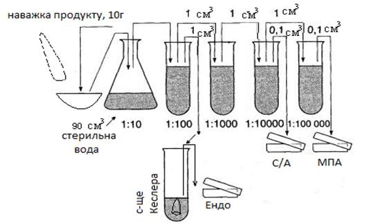 аналіз мікрофлори сировини та готових харчових продуктів - student2.ru