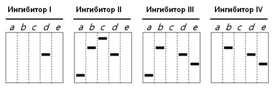 анатомия и физиология растений - student2.ru