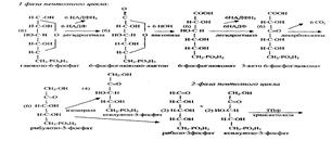 Аэробный дихотомический путь распада углеводов: химизм и биологическая роль. - student2.ru