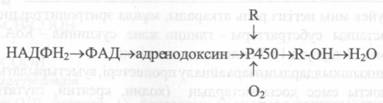 Бауырдағы гормондар инактивациясы және қосылыстардың,бөгде заттардың детоксикациясы. - student2.ru