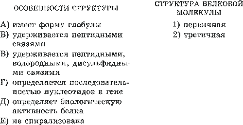 Белки, их строение и функции - student2.ru