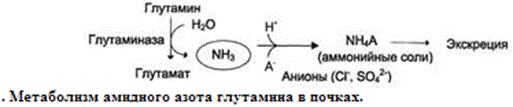 Билет №6 1- Токсичность аммиака. Его образование и обезвреживание. - student2.ru