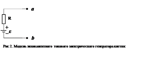 Биофизические принципы исследования электрических полей тканей и органов - student2.ru